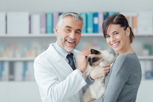 My-Jopportunity - 70 Arbeitgeber 1 zu 1 begleitet My-Jopportunity - 70 Arbeitgeber 1 zu 1 begleitet