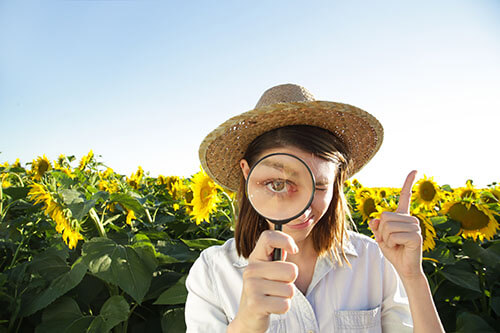 My-Jopportunity - Bedarfsanalyse - Frau schaut auf Feld durch Lupe - großes Auge