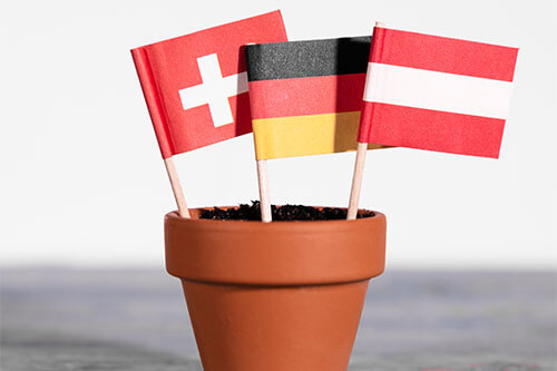 My-Jopportunity - Österreich Deutschland und Schweiz Flagge in kleinem Blumentopf