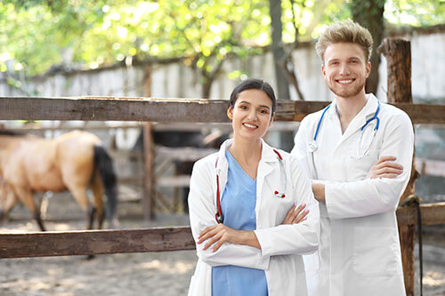 My-Jopportunity - Stellenschaltung und Arbeitgebermarketing