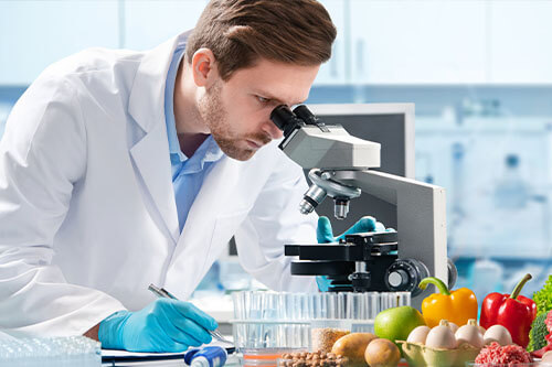 My-Jopportunity.com-Für-Arbeitgeber-im-Foodbereich-Lebensmittelchemiker-am-Mikroskop