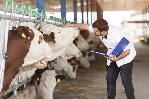 Nachfolgeprogramm Landwirtschaft 